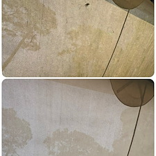House-Wash-in-Santa-Rosa-Beach 5